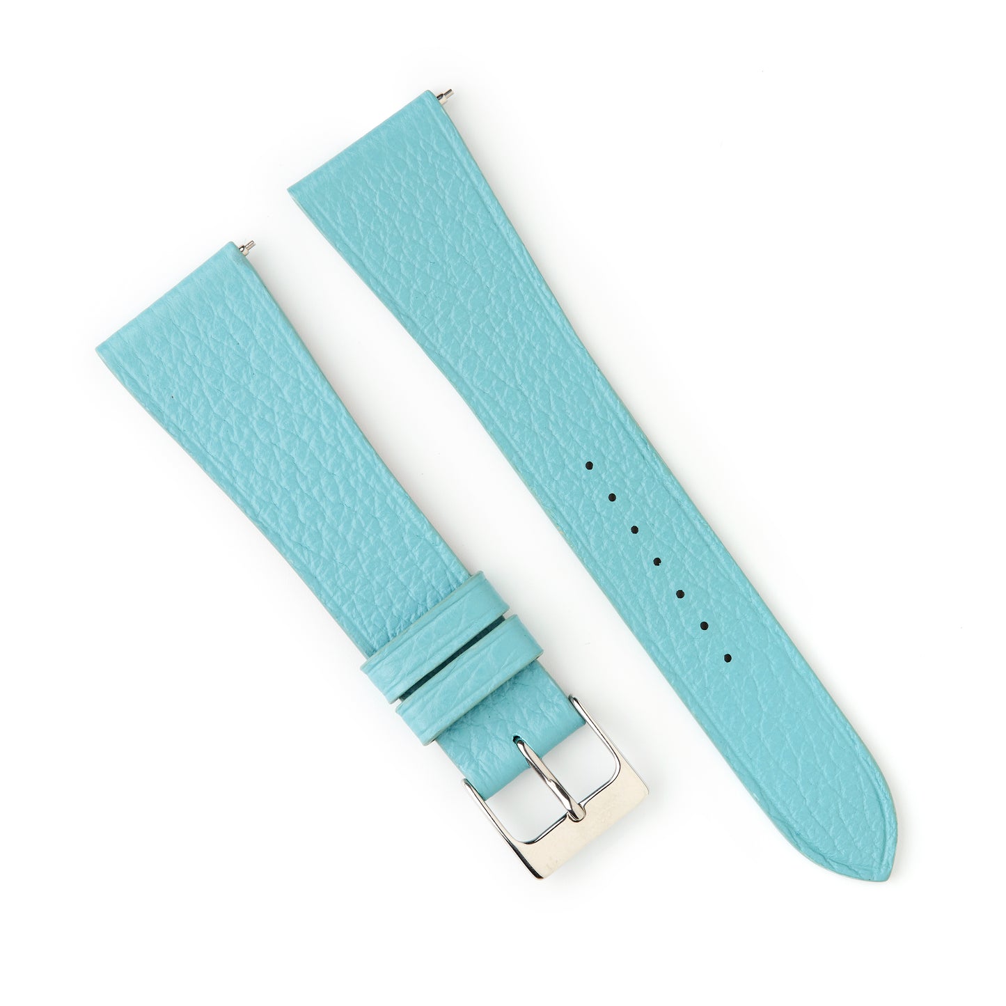 Tortoise Watches Light Blue 22mm