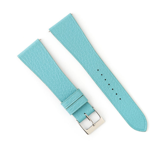 Tortoise Watches Blue 22mm