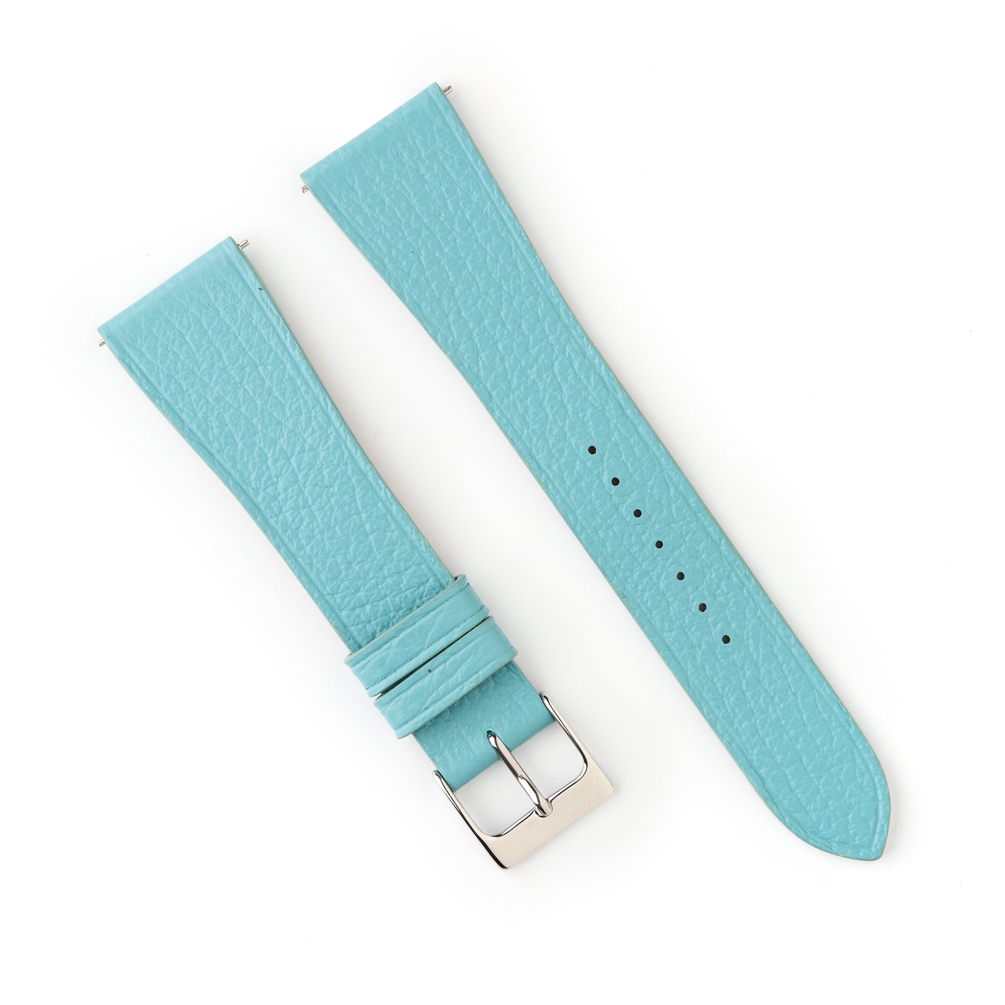Tortoise Watches Blue 21mm