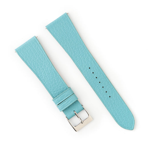 Tortoise Watches Blue 21mm